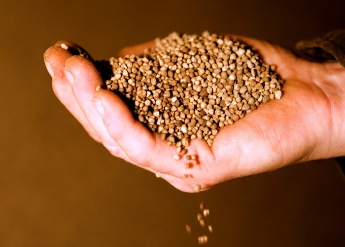 Simplifying phosphorus