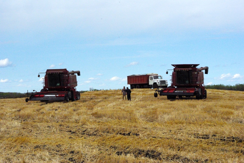 Tracy and Myles Pawliw talk logistics as they finish combining the last of their 2016 crop near Glaslyn, Sask.