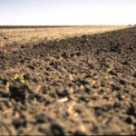 To buy or not to buy? The land dilemma
