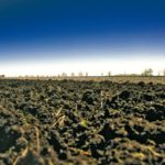 Taking that big leap to “landowner”