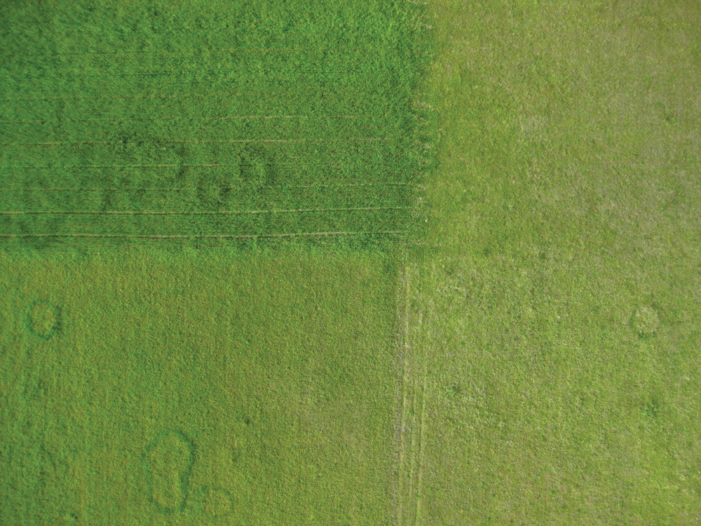 Reader Warren Bepple sent us this photo of rings in his field near Kamloops, B.C.
