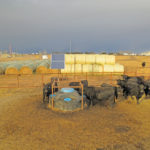 This is a completed year-round CAP Solar system over a cased well. Systems can be designed to supply anything from a few horses to a 500-head cow herd.