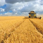 A successful harvest also means having a safe harvest.