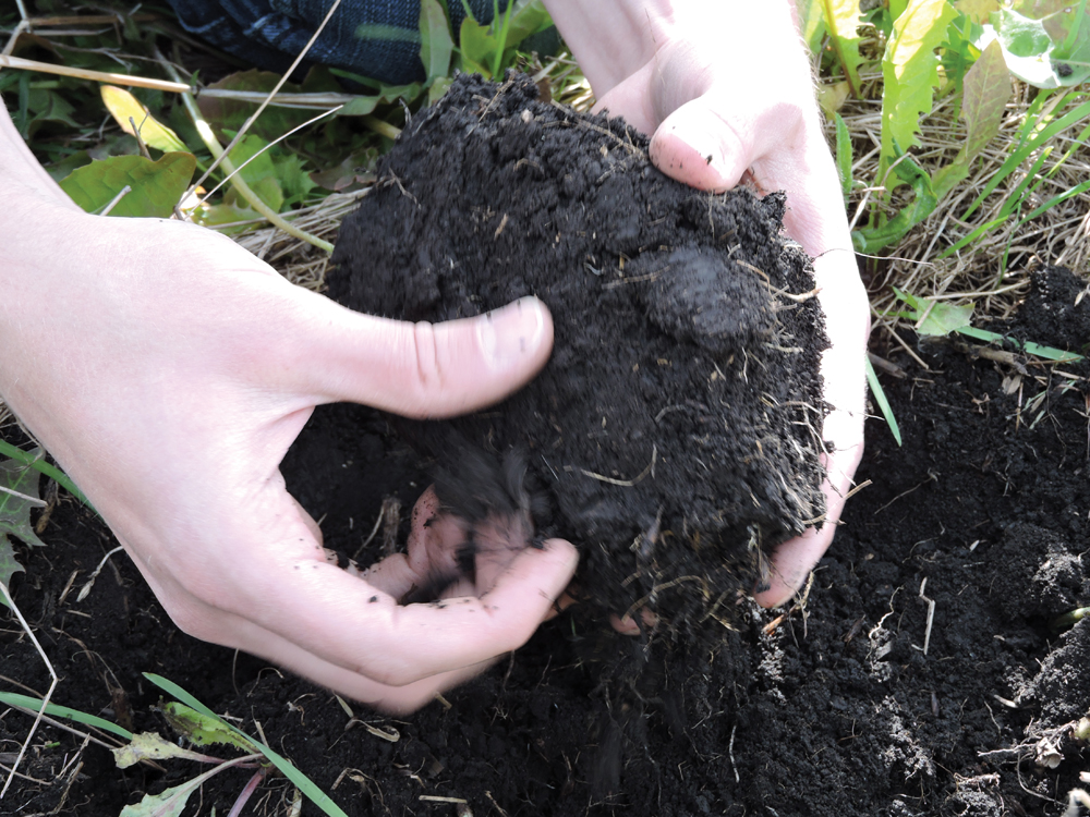 Different types of soil have different properties. University of Alberta research is focusing on measuring soil quality.