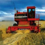 Keith Ayres picking up a nice wheat crop with his MF 750 in the 1970s.