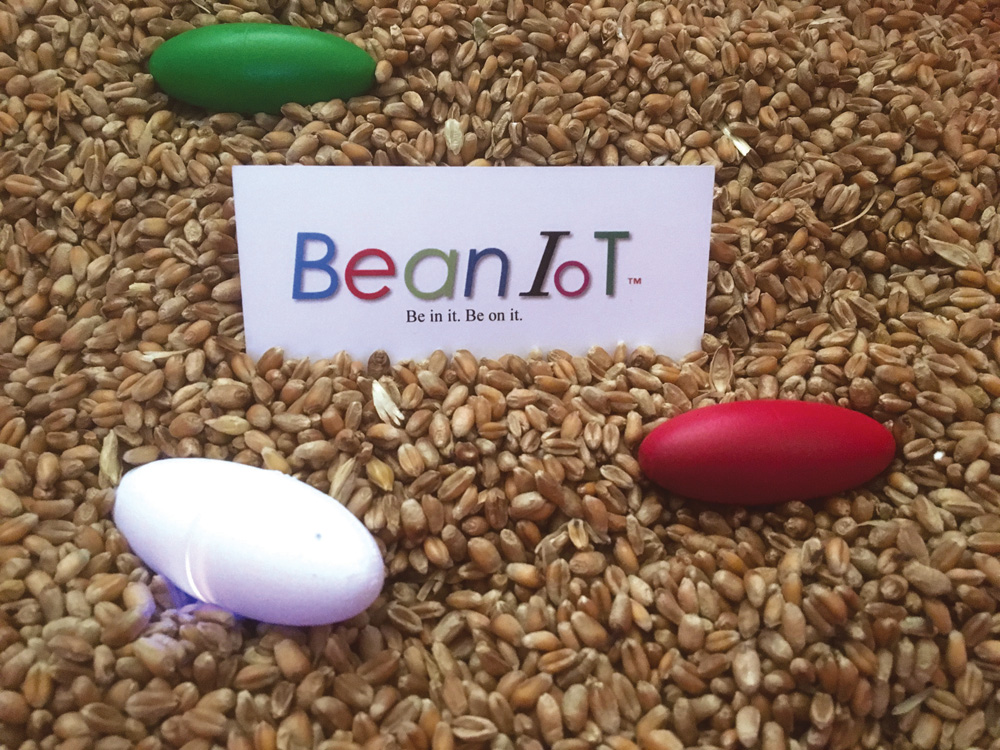 The BeanIoT thumb-sized “smart” sensors could be deployed in grain bins to measure temperature, humidity or insect movements. 
