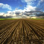 Lystek takes municipal waste and turns it into a rich fertilizer for your land.