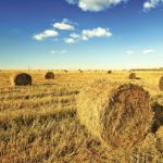 What’s influencing land rental rates?