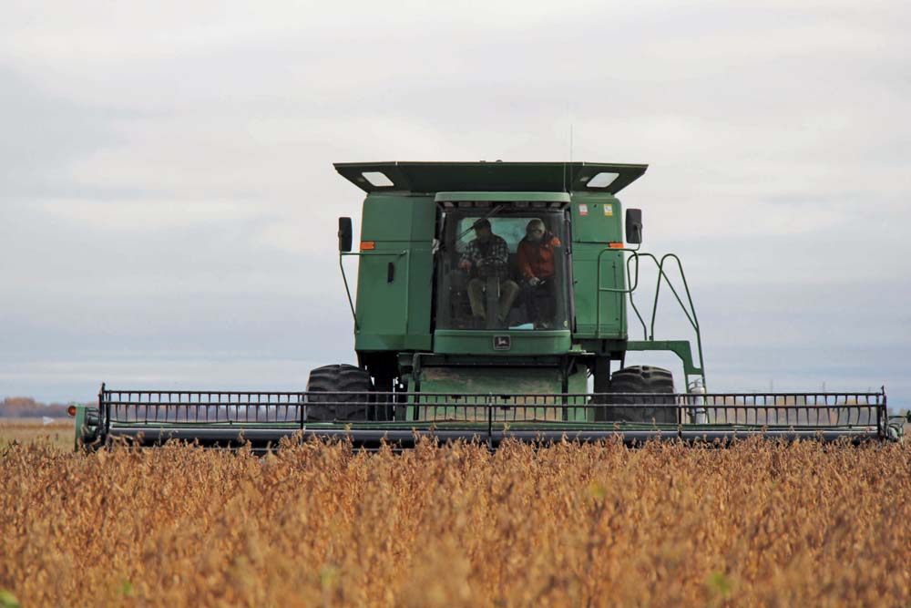 David Meakin finishes a second pass on the soybeans, with Gary Sollid riding shotgun.