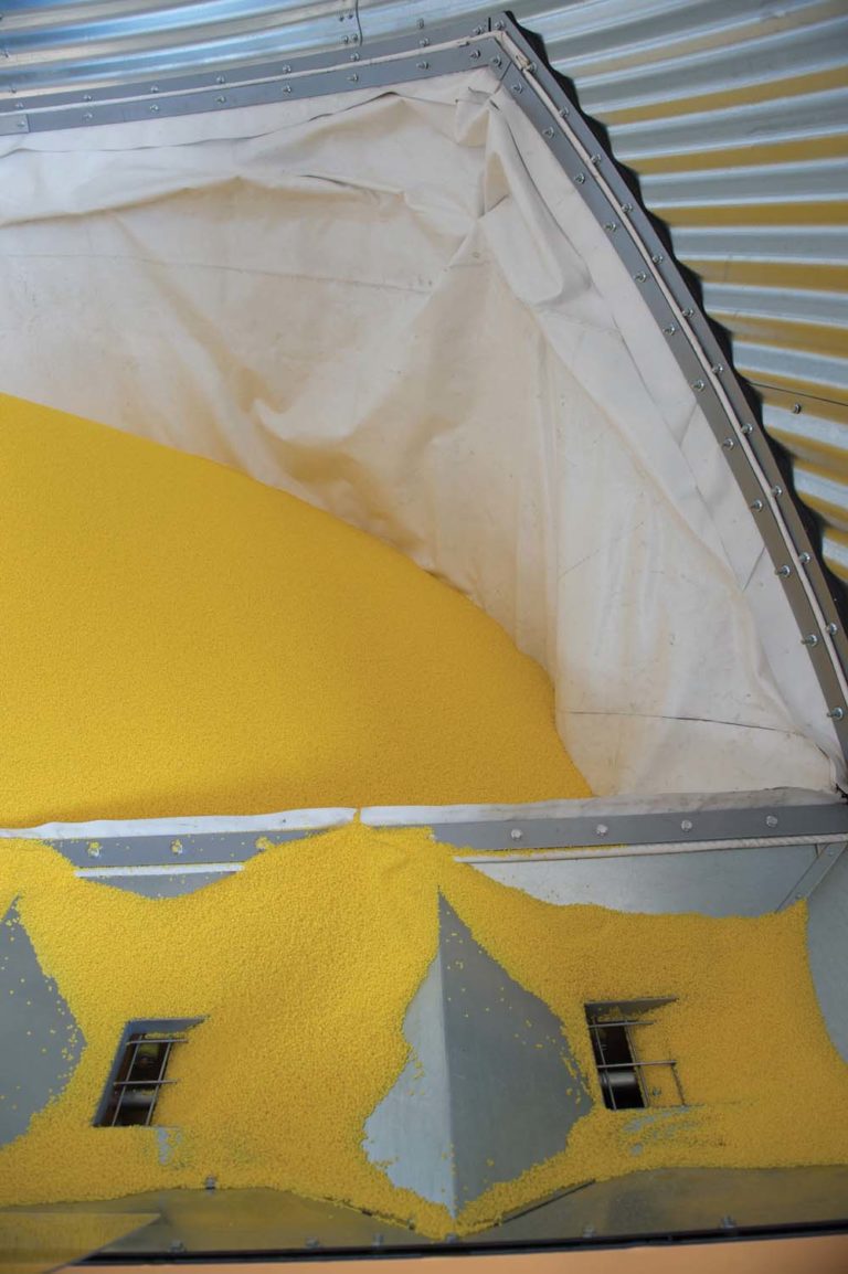 Drying tough grain in the bin with a GSI quiet drier Grainews