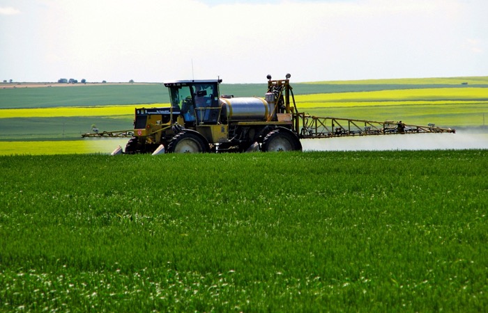 Managing fungicide resistance