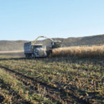 Custom silage operators need to be booked well in advance if you want your crop harvested at the optimal time.