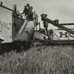 This series of early Holt combine images was supplied courtesy of Caterpillar Inc.