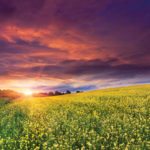 The annual rebate roundup: 2018