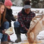 Sisters Maya, Indy and Desta Johnson (l to r) feed their pet goats on the purebred Angus cattle farm near Peebles, Sask.