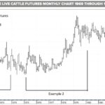 U.S. tax cuts will increase beef demand