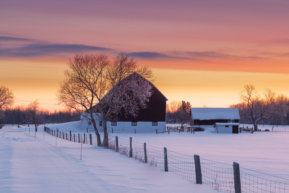 Winter is a good time to review farm transition plans. 