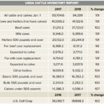 Tighter feeder cattle availability ahead