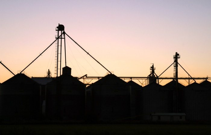 Grain companies profit more from handling grain than from selling grain.