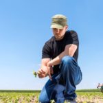 farmer in soybean fields