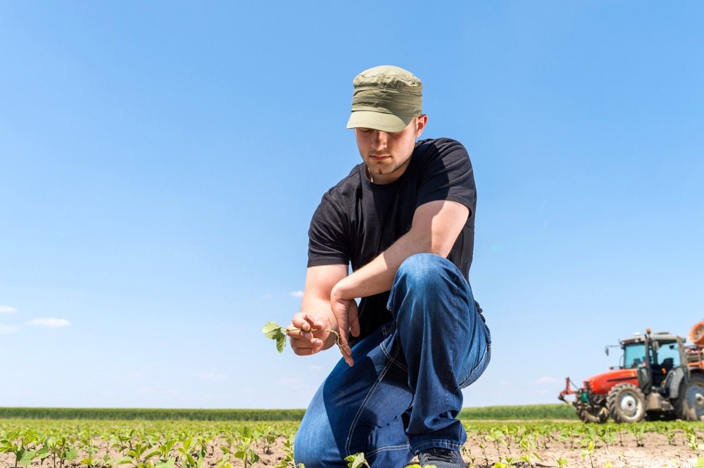 farmer in soybean fields