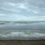 Stewart Collin took this photo of a field south of Foremost, Alta., on April 23, 2018. He estimates at least 15 per cent of his acres won’t get seeded this year.