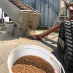 Submitting seed for germination testing