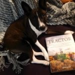 Dixie says,