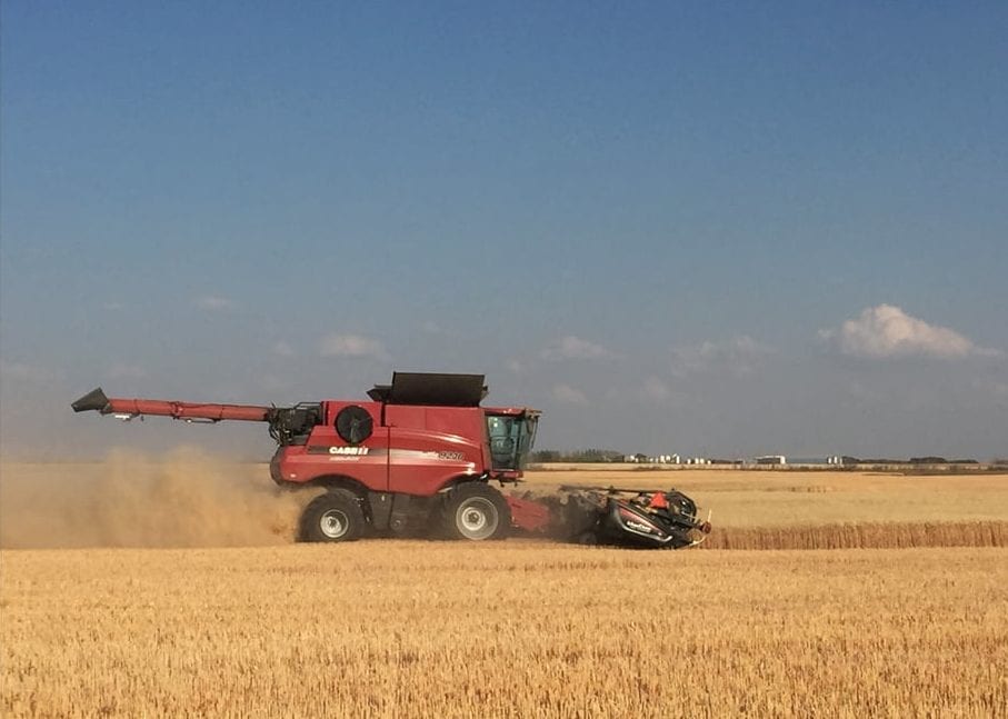 Brad Barlow combining durum wheat on September 4, 2018, near Griffin, Saskatchewan, taking advantage of the nice weather before the rains came.