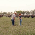 Brooks and Jen White of Pierson, Manitoba fencing near Bison pasture.