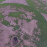 This UAV (drone) photo shows the extent of the damage due to necrosis and poor growth caused by a pest outbreak in Nick’s timothy crop.