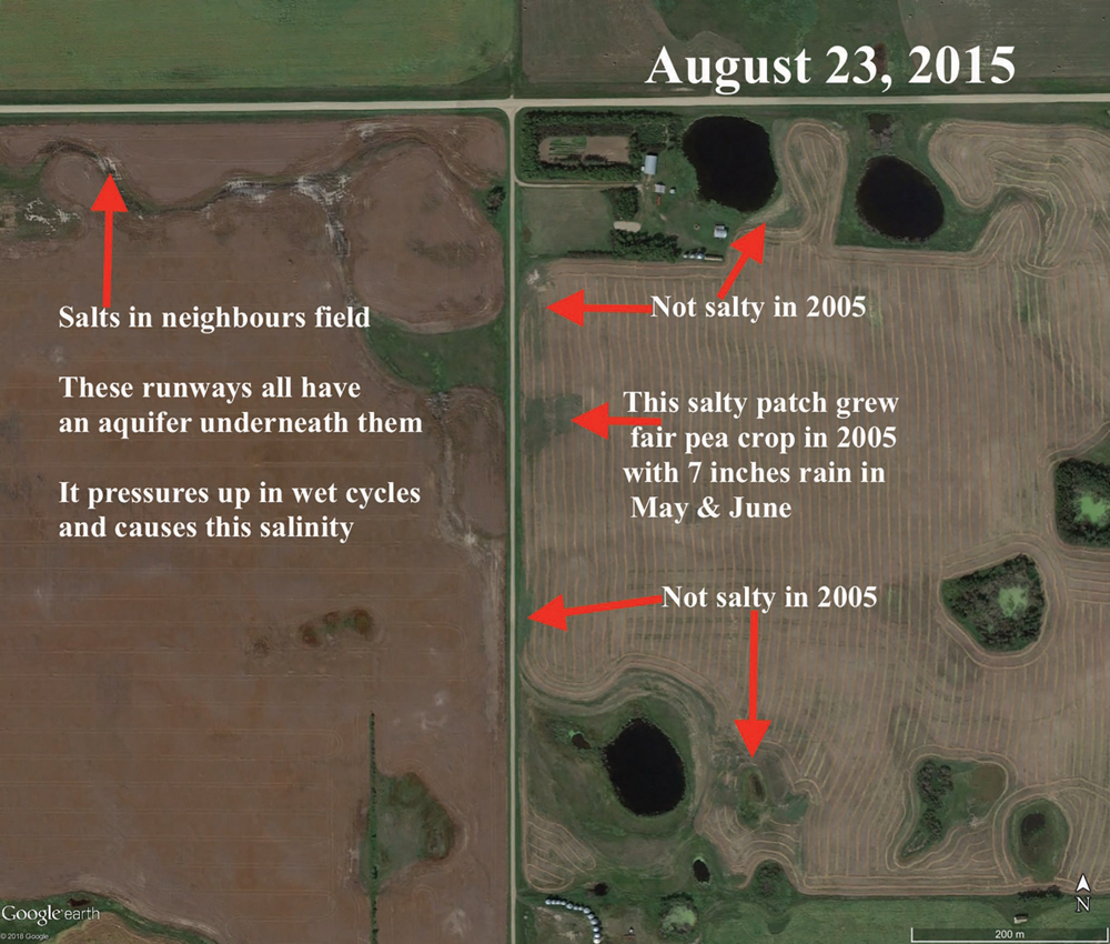 This graphic shows salty patches on my Blackstrap farm. The main actor is the aquifer underneath the water runways.  A neighbour’s flowing well in a runway about a mile away is the evidence for the artesian condition.