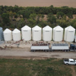 I was writing and thinking when I looked up, saw a line of grain bins and recalled that,
yes, right, I live on the farm. I am a farmer.