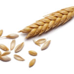 Taking a look at CWRS protein levels in 2018