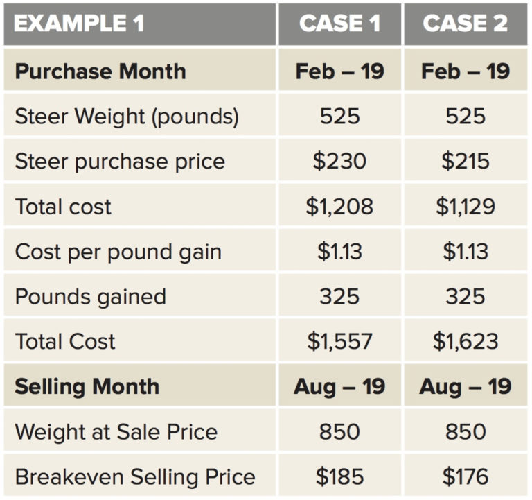 Understanding feeder cattle price structure Grainews