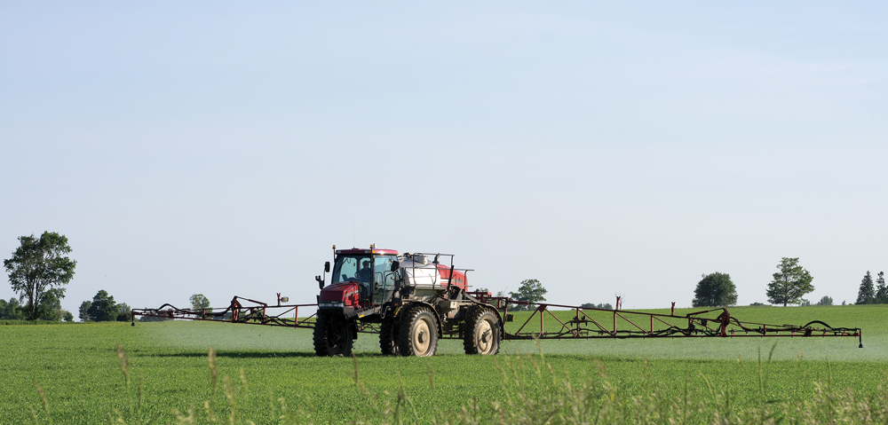 Check your soil for herbicide residue
