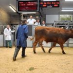 Uncertainty over the Brexit deal has U.K. beef producers wondering what’s ahead for their domestic and export markets.