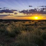 Dawn In The Australian Outback