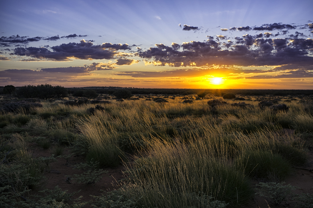 Dawn In The Australian Outback