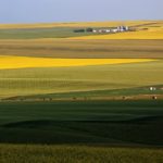 Farm Credit Canada expects average land values to continue their rise, but at a slower rate.