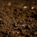 The component parts of soil are normally called clay, silt and sand.