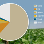 Top world soya bean importers in 2018.