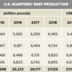 U.S quarterly beef production. (**2019 Q3 and Q4 ar USDA estimates; ***2020 is USDA quarterly estimates)
