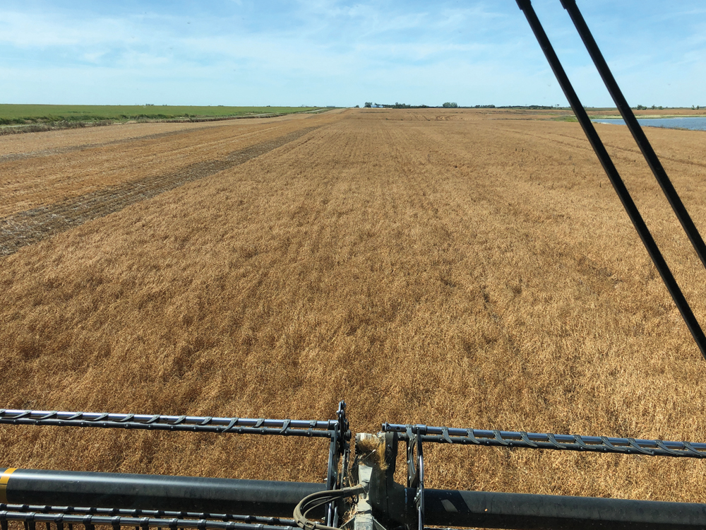 During most of August, there were only a few days when the crop was ready and we had weather like this. By September 7, we were only about one-third finished harvest and it was pouring rain.
