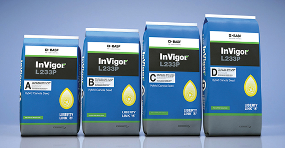 BASF’s 2020 canola will come in different-sized bags, labelled A, B, C and D. All bags will contain at least 4.25 million seeds. “A” bags will hold the smallest seeds, and weigh 42.2 pounds. The largest seeds will be sold in “D”-labelled bags, and weigh 56.7 pounds. Recommended seeding rates vary from 4.2 pounds/acre of “A” seeds to 5.7 pounds/acre of “D” seeds.