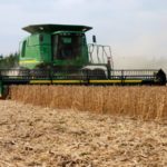 Thirty-seven per cent of soybeans are now in the bin.