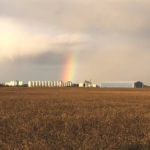 I’m sure this rainbow is signifying that there’s a bright side to all of this rainy harvest weather. But I’m not quite sure what that is yet.