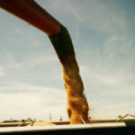Try to protect yourself from the possibility that spreads will continue to widen out before you deliver your grain.