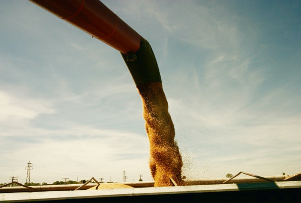 Try to protect yourself from the possibility that spreads will continue to widen out before you deliver your grain.