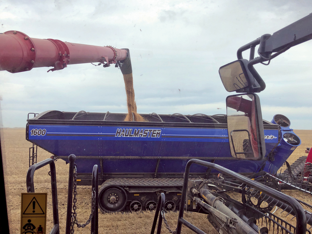 This year it’s all about the tracks. On our farm, when we realized we needed a grain cart to get through this year’s harvest, there was no point buying one with tires. It wouldn’t have made it into the field.